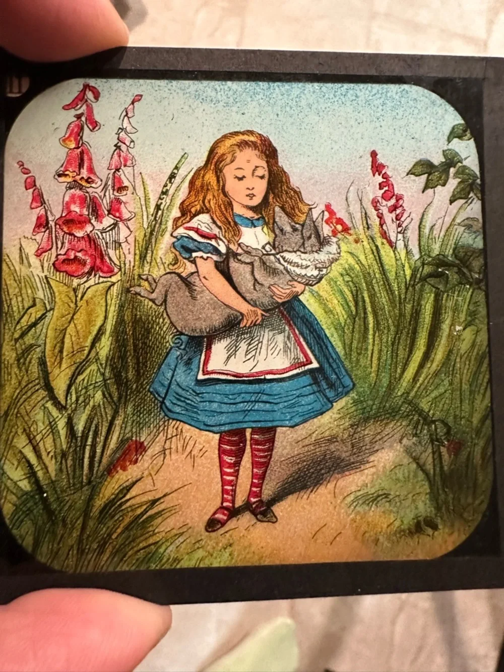 Alice in Wonderland Primus Magic Lantern Slides #777 Chapter II complete set box - Picture 16 of 16